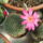 Dscf9174_1858234_8028_t