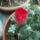 Dscf9180_1858241_7251_t