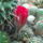 Dscf9182_1858240_3319_t