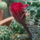 Dscf9191_1858236_4528_t