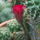 Dscf9195_1858238_9819_t