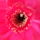 Dscf9227_1858235_7514_t