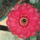 Dscf9229_1858237_4773_t