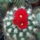 Dscf9232_1858244_7908_t