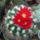 Dscf9240_1858251_6180_t
