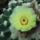 Dscf9241_1858250_6519_t