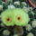 Dscf9242_1858248_6694_t