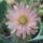 Dscf9243_1858246_1205_t
