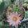 Dscf9244_1858249_6616_t