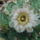 Dscf9247_1858243_7660_t