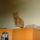 Dsc03171_1085799_1053_t