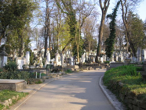 Házsongárdi temető 2007. 04.