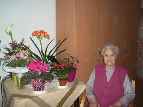 Julis néni virágai