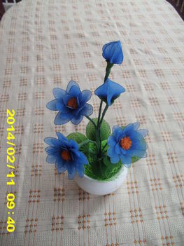 Kék virágom 