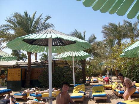 Sharm El Sheik 280