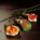 Sushi_185869_33705_t