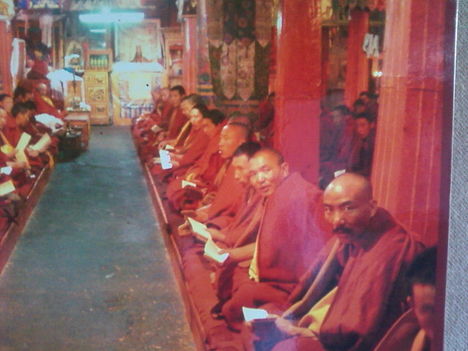 Tibet 7