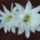 Dscf9268_1861311_8863_t