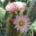 Dscf9274_1861312_3011_t