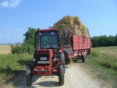 traktor hamszteral