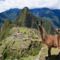 Machu Picchu - Peru -1053