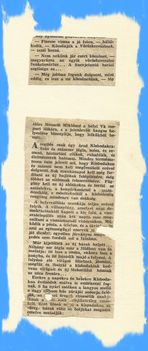 Vöröskeresztes újság töredék 1954-ből