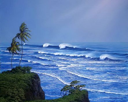 álom part Hawaii-10826