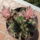 Dscf9411_1866850_1215_t
