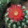Dscf9421_1866851_1865_t
