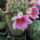 Dscf9423_1866844_6956_t