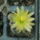 Dscf9424_1866846_2574_t