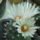Dscf9429_1866847_5339_t