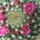 Dscf9430_1866845_8789_t
