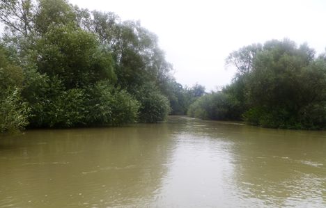 Mosoni-Duna Bezenye és Dunakiliti közötti szakaszon, 2014. augusztus 12.-én