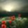 Remenyik_sandor_a_menekulo_1863597_2214_1866926_3445_t