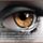 Tied_a_szivem01_1866906_8870_t