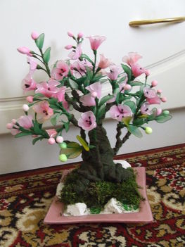 Rózsaszín cseresznyevirág bonszai