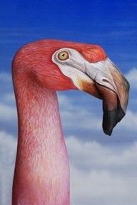 Kézfestés flamingó