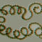 Kékalga (anaglif kép)