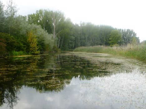 Pókmacskási-tó, Ásványráró 2014. augusztus 19.-én