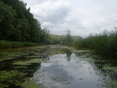 Pókmacskási-tó, Ásványráró 2014. augusztus 19.-én (4.)
