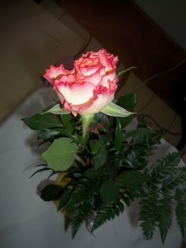 Valentin napi rózsám