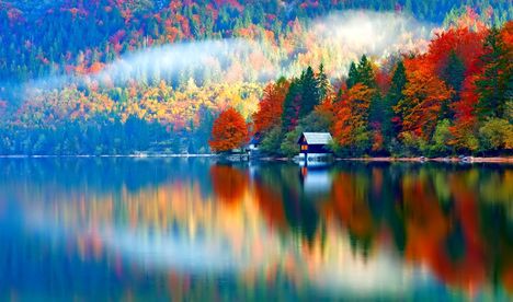 Őszi színek a tóparton-1064