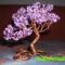 Lila bonsai