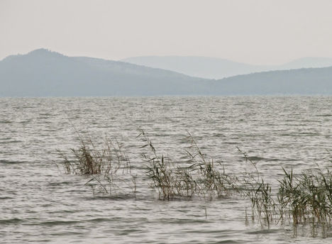 Balaton körül