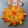 Quilling-005_1875220_2977_t