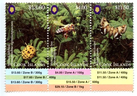 Cook Islands-2014-Entomology
