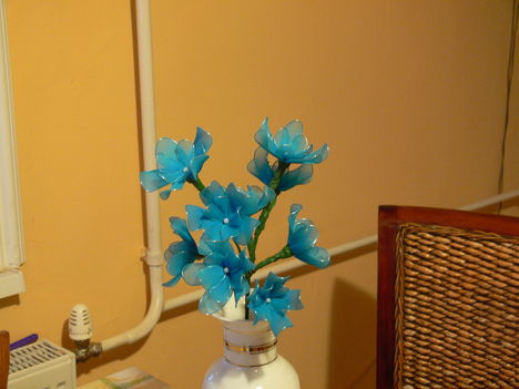 P1040885 Kék virág