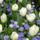 Tovabbi_szep_napot_1878600_9758_t
