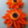 Quilling-053_1807863_4014_t